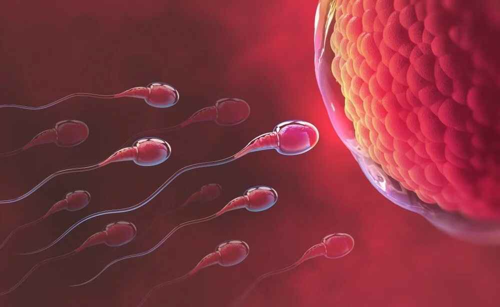 Best Infertility Treatments